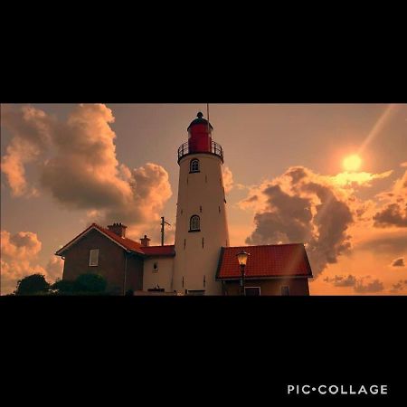 Gastenverblijf De Paddestoel Urk Luaran gambar